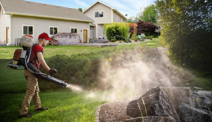 mosquito control and mosquito extermination